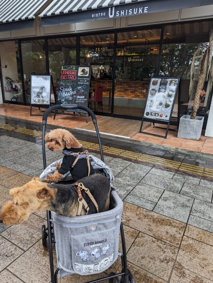 お店の外観