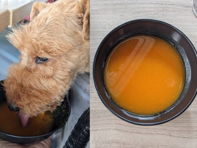 犬用の野菜スープ