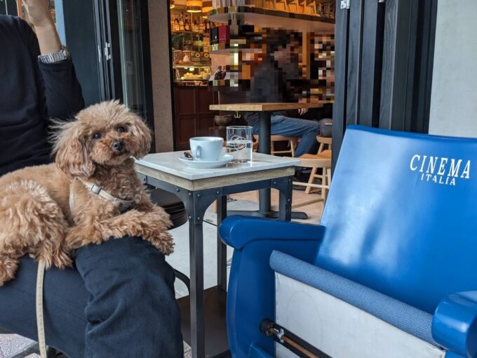 テラス席は小さくてcafe用