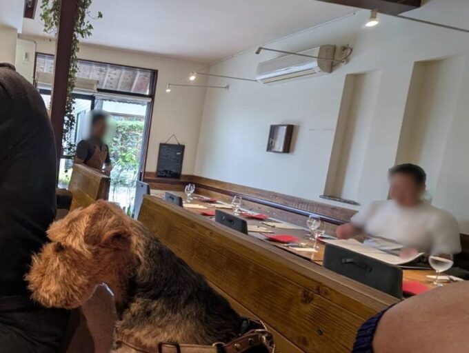 店内 こじんまりとしたお店です