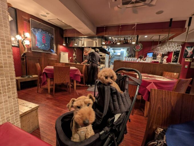 店内