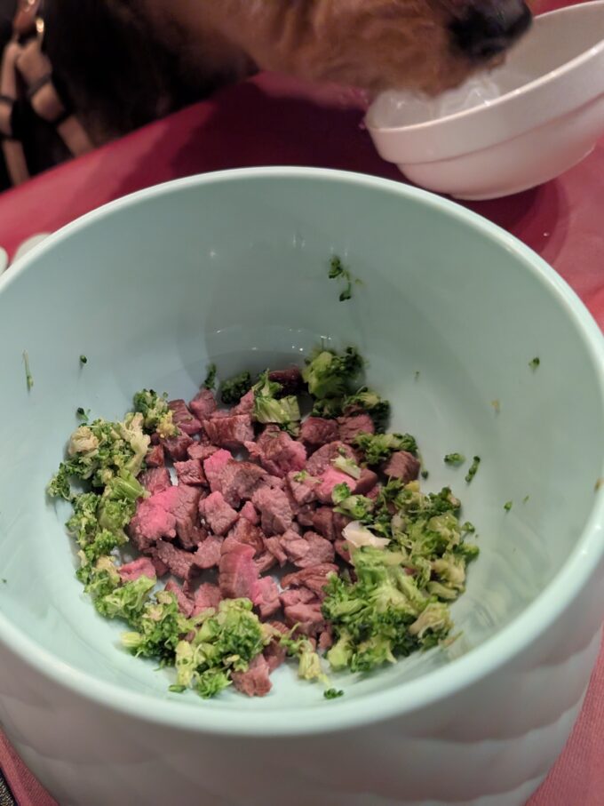 ドッグメニューのランプ素焼き