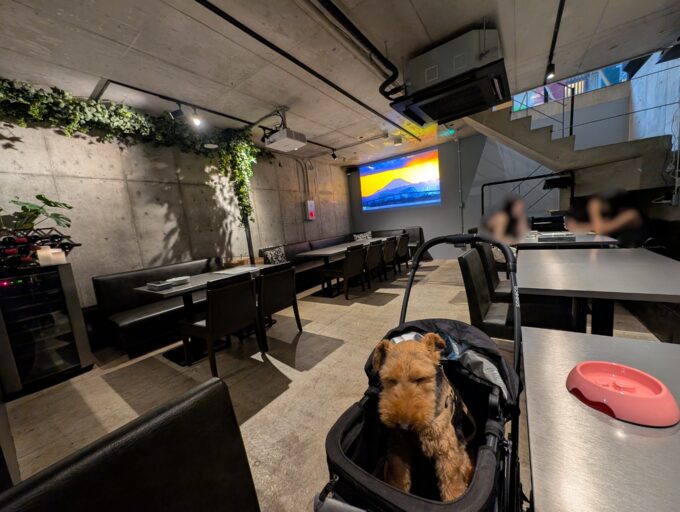 店内,地下です