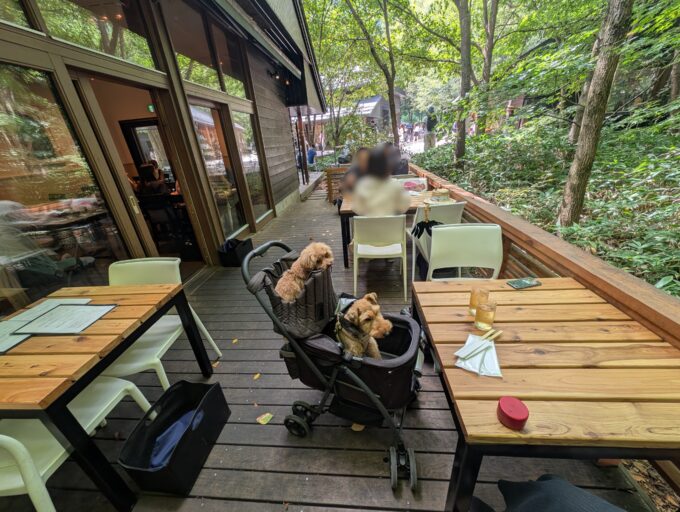 奥のほうのテラス席は緑に囲まれて落ち着いた感じ