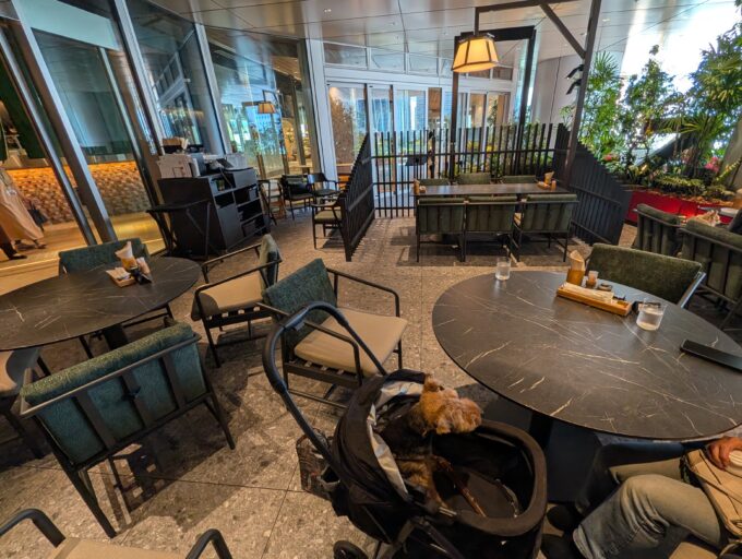 テラス席 屋根もしっかりあります