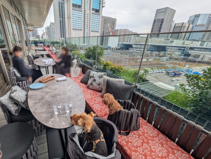 テラス席　ひさしはありますが，南向きなので日差しは当たります