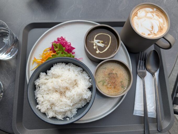 ビーフストロガノフとほうれん草のキーマカレー