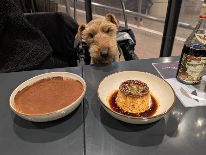 ティラミスとパンナコッタ　大きい！