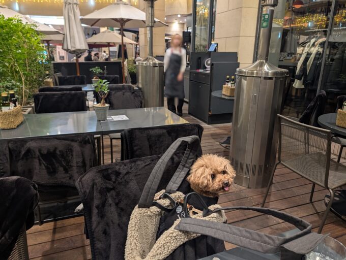 テラス席　奥にもたくさん席があります