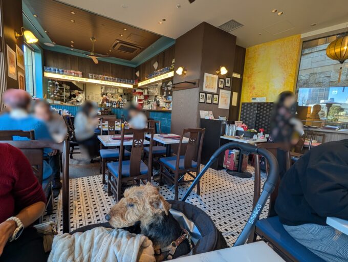 店内　ちょっと狭いのでペットカートはギリギリ