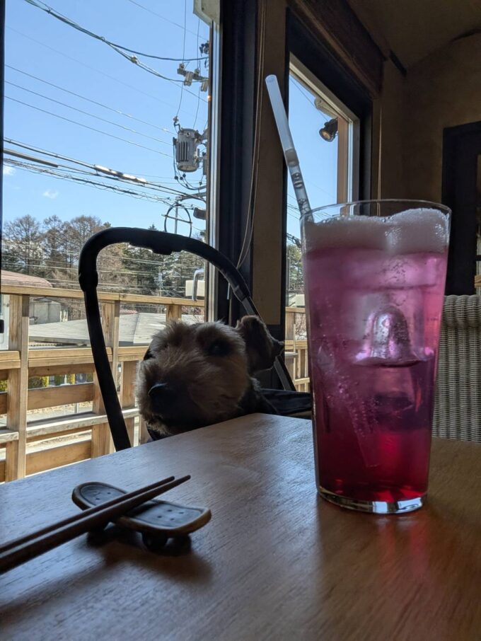 しそのジュース