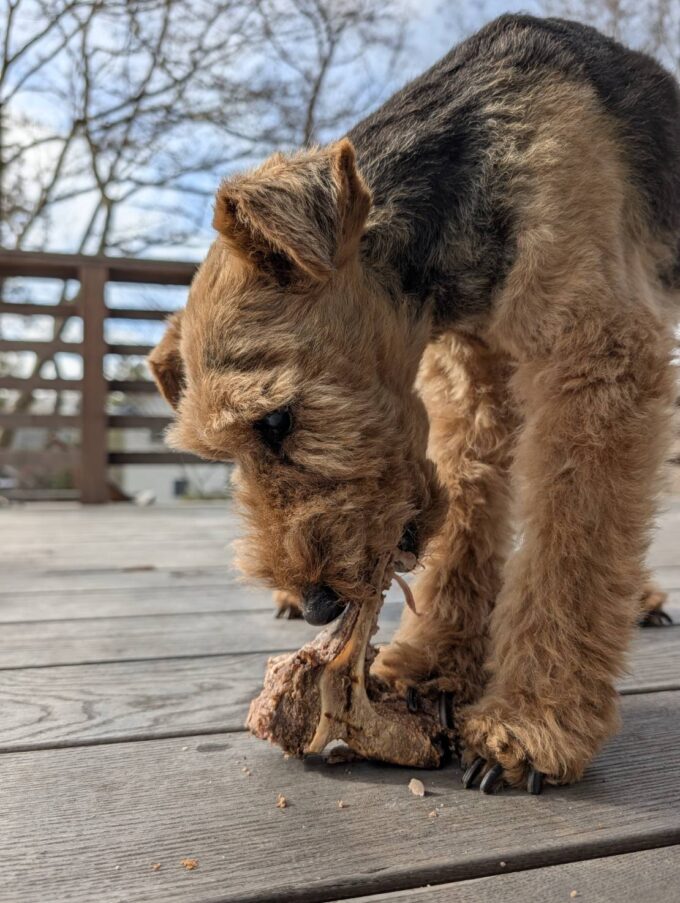 がっついてました(笑)