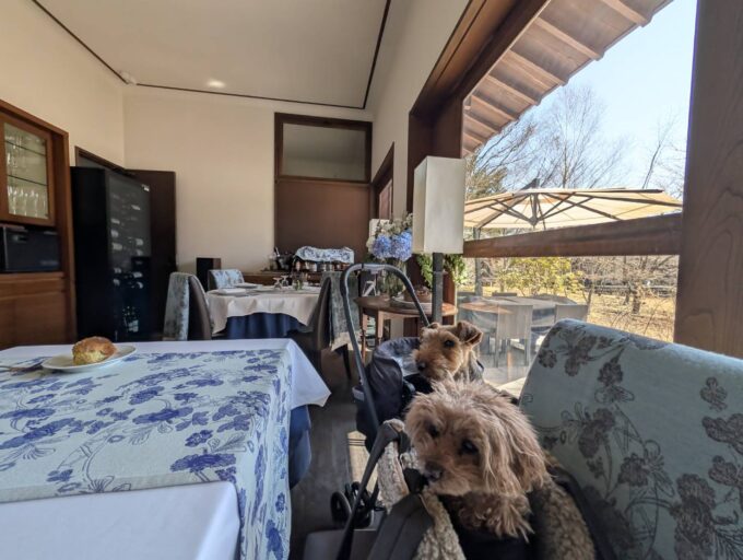 店内　素敵な空間です