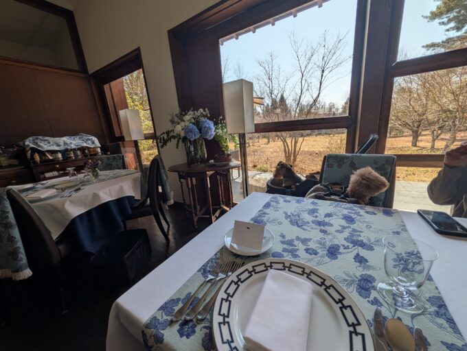 店内　お庭が見えます