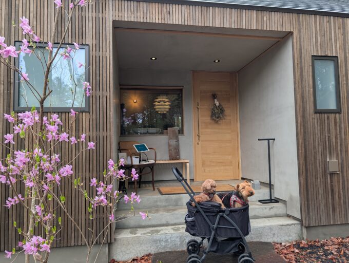お店の入口