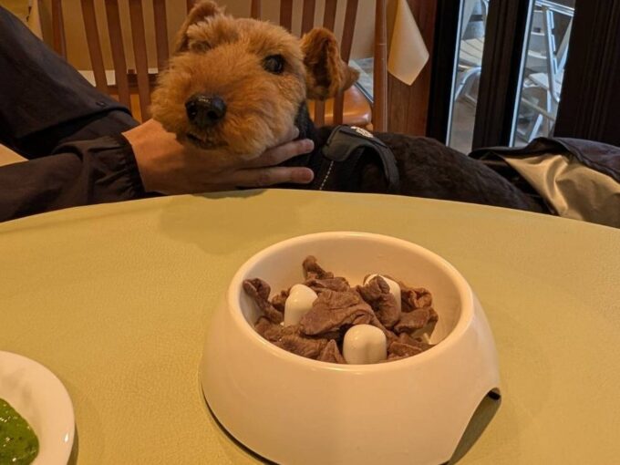 ワンちゃん用鹿肉のボイル