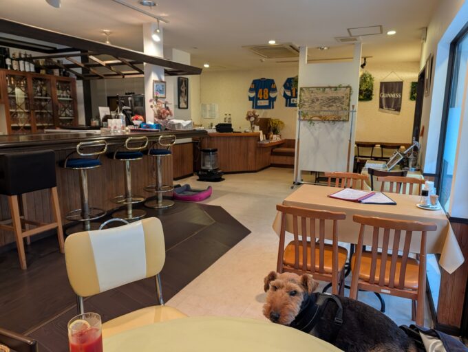 店内 バーなのでカウンター席もあります