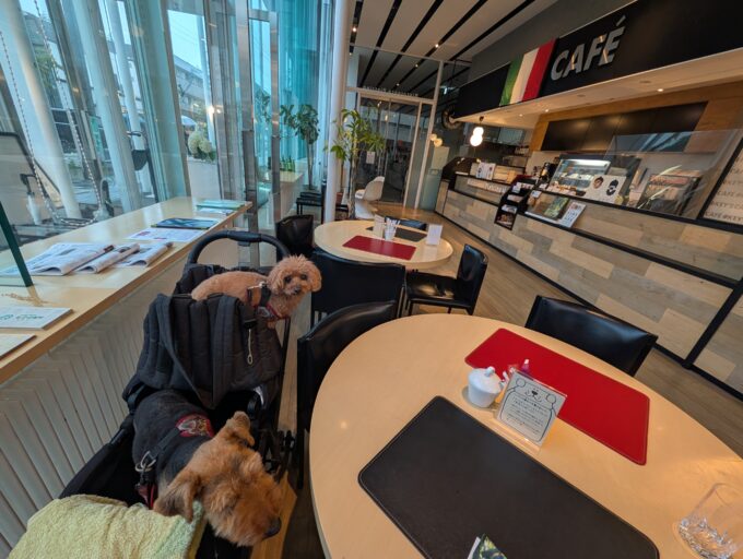 店内　ペットOKなのは写っている2席のみ