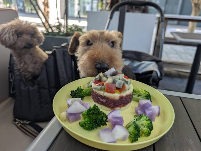DOG’S MEAL